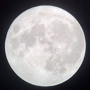 Meet your Posher, Brooklyn